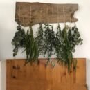 Dried Bundles
