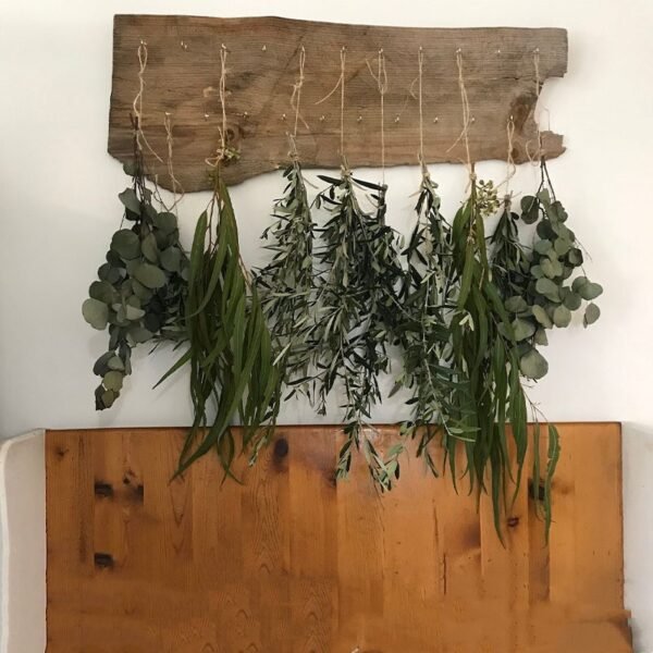 Dried Bundles - Image 3
