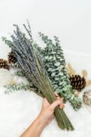 Dried Bundles